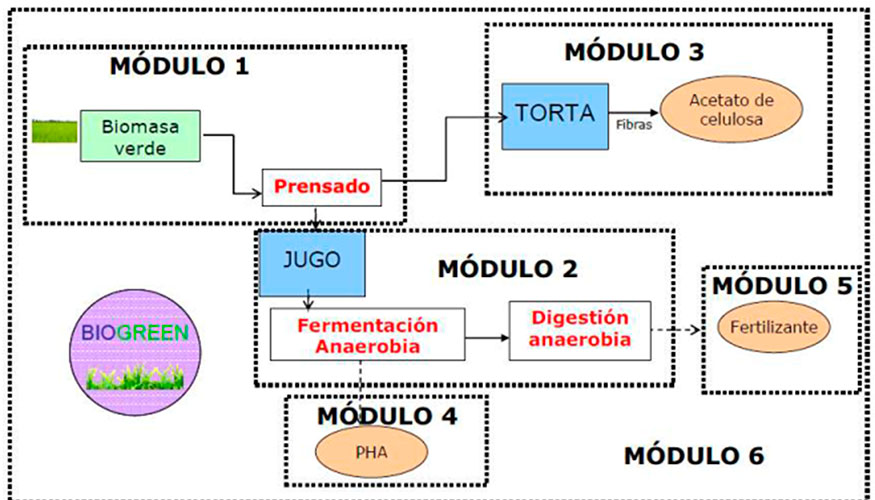 Figura 8. Diagrama de proceso proyecto biogreen
