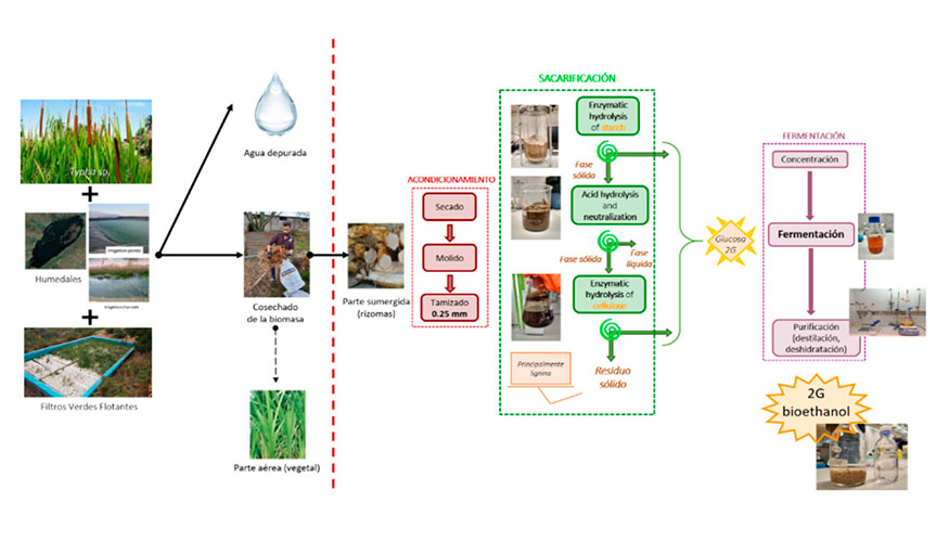 Figura 12. Diagrama del proceso de obtencin de bioetanol 2G de bajo coste