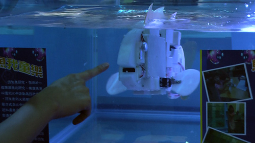 Un pez robotizado capaz de nadar en un acuario