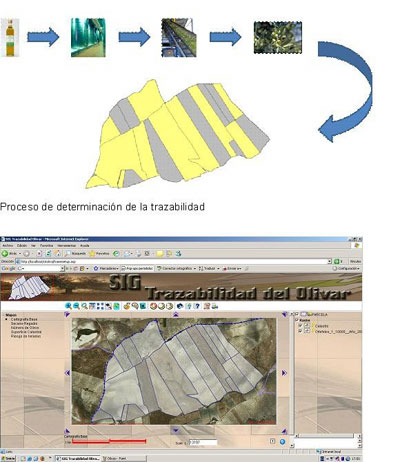 El proyecto contribuir a la obtencin de un buen aceite en la regin