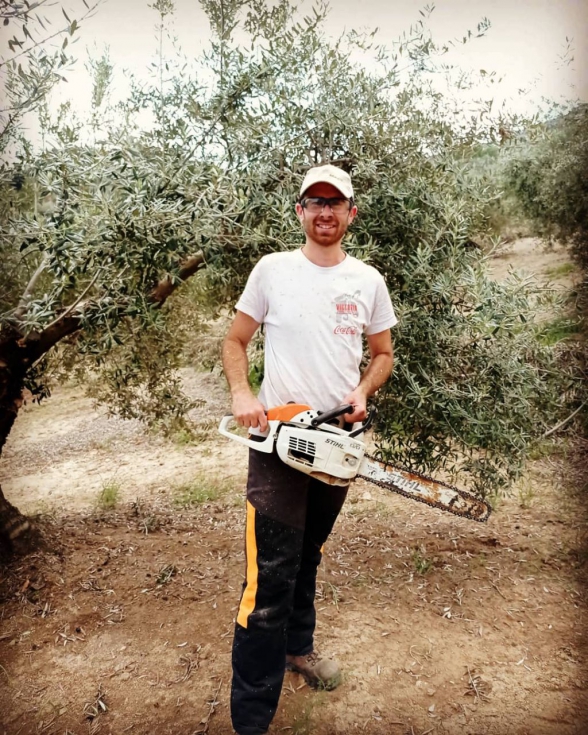 Antonio Manuel realizando labores de poda en un olivar tradicional
