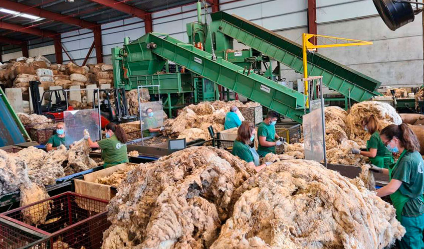 Instalaciones de la cooperativa Oviso para la transformaci�n de la lana