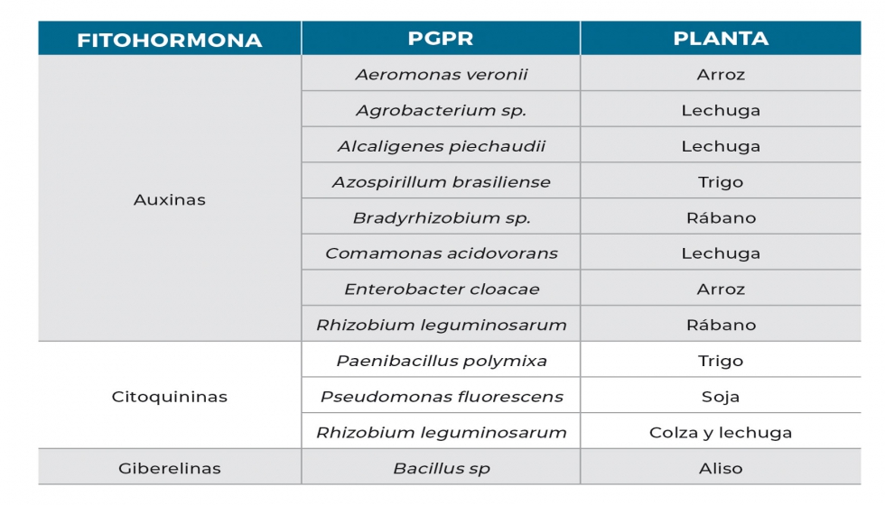 Tabla 1. Principales mecanismos de accin de los PGPR