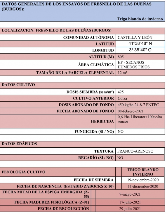 Tabla 5