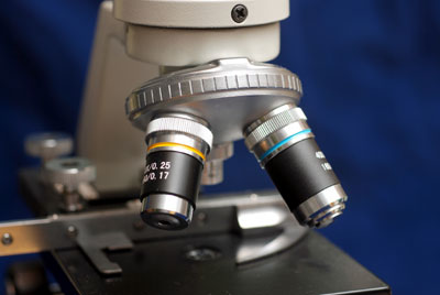 La visin artificial es bsica en microscopa o anlisis de imagen. Foto: Kriss Szkurlatowski