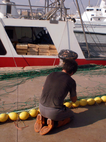 Embarcacin con pescado envasado en el puerto de Barcelona