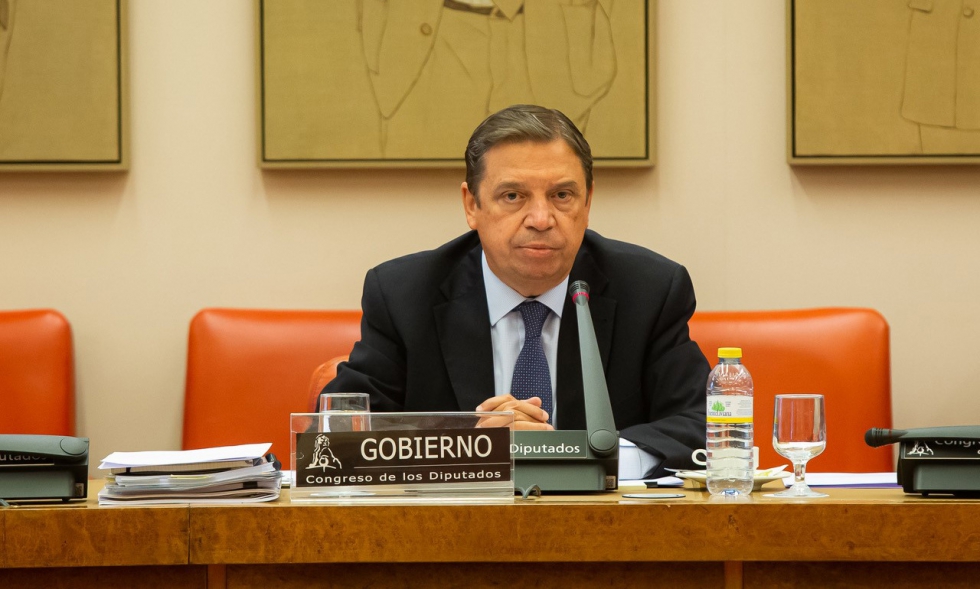 El ministro Luis Planas durante la comparecencia en el Congreso de los Diputados
