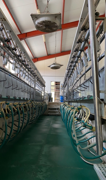 Imagen de la sala de orde�o