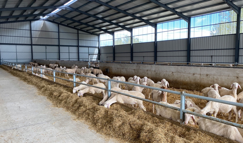 Animales de recr�a
