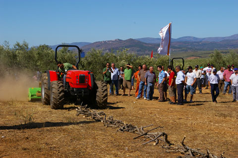 Durante 20 jornadas, por toda Espaa, se efectuaron demostraciones con las nuevas gamas de tractores fruteros y vieros...