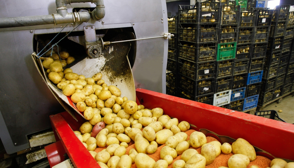 En las lavadoras de tambor para verduras, los rodamientos se sumergen en agua en cada rotacin del tambor. Foto: iStock.com/zlikovec...