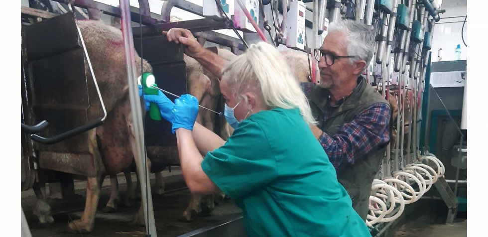 Inseminaci�n artificial con el esp�culo Reyes