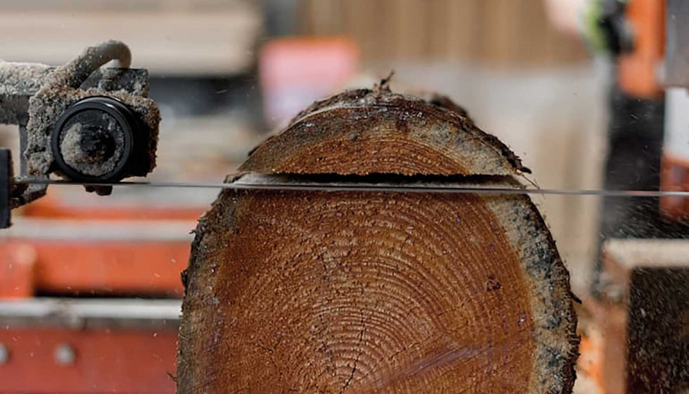 Crean una nueva cinta adhesiva utilizando madera - Forestal Maderero