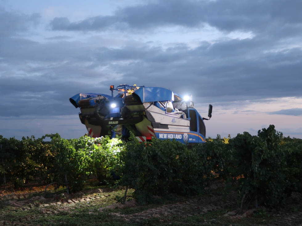 Mquina vendimiadora recolectando de noche en la DO Rueda para evitar las horas ms calurosas y as impedir la oxidacin de la uva...