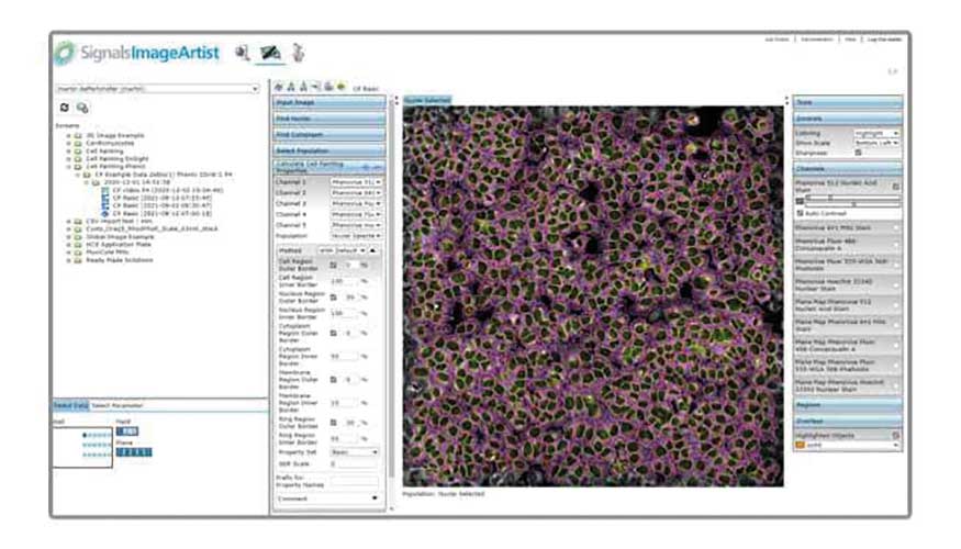 Signals Image Artist ayuda a los cientficos a procesar y analizar los datos de imgenes celulares en 3D...