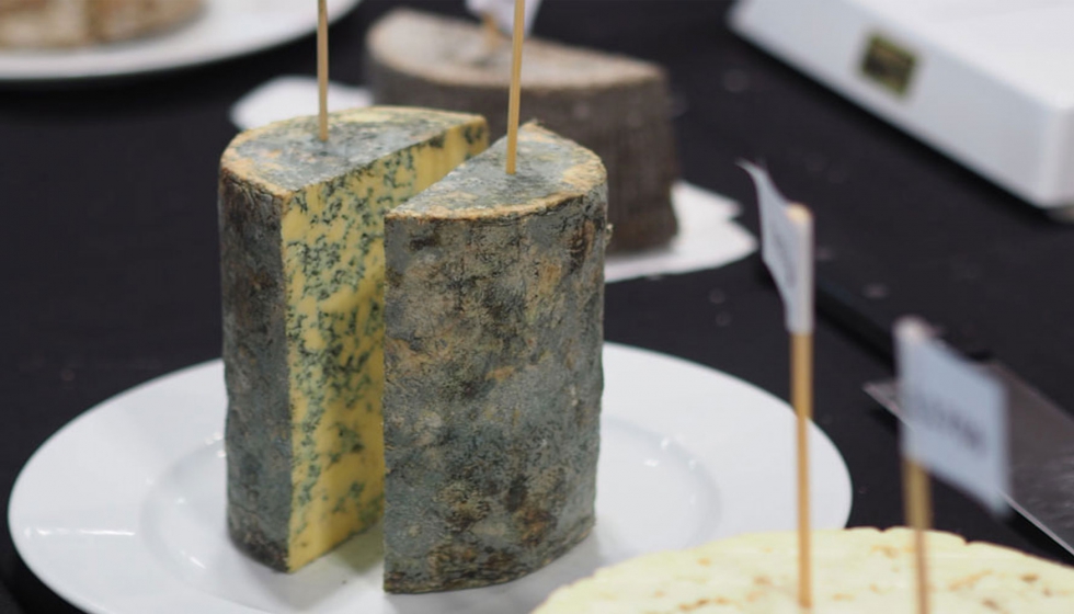 El azul Savel se convierte en el mejor queso de Espaa