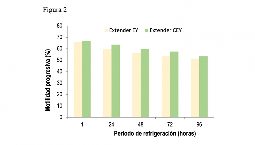 Figura 2. Motilidad progresiva en machos j�venes a lo largo del periodo de refrigeraci�n