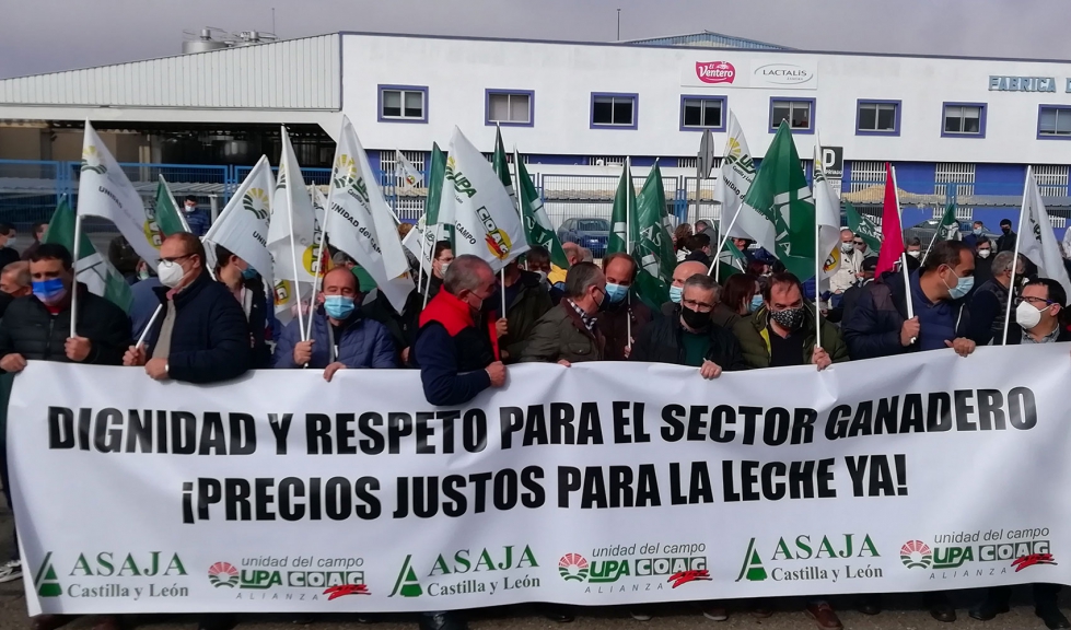 Imagen de la manifestacin en Zamora