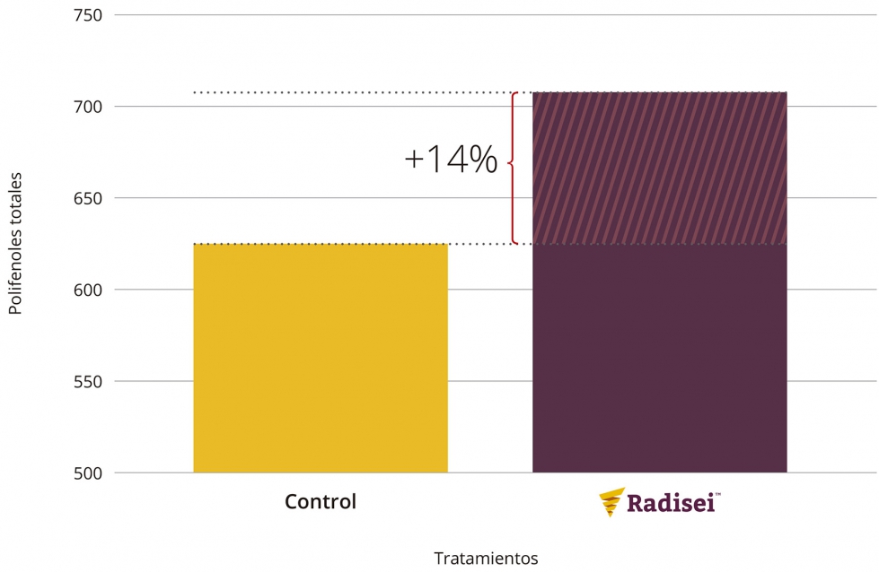 Grfico 2. Incremento de polifenoles totales (%)