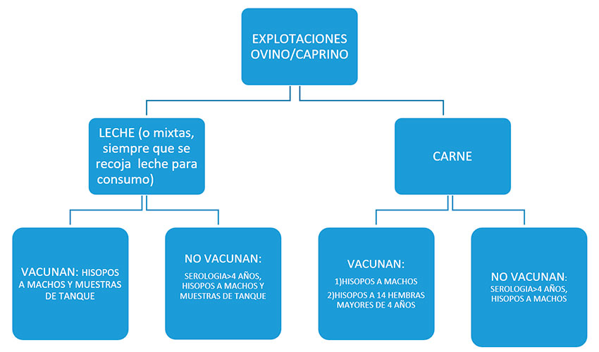Figura 1. Esquema de muestreos en el nuevo programa sanitario
