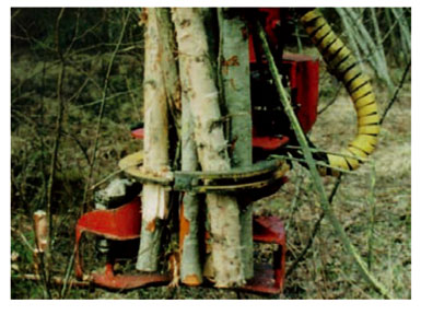 Máquinas para la tala de árboles o la recolección de matorral - Agricultura