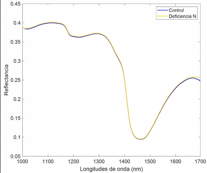 Figura 2. Espectros de reflectancia medios normalizados de las clases control y deficiencia de N