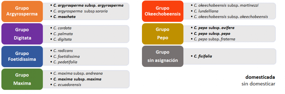 Figura 1. Grupos de Cucurbita spp. Principales especies tanto silvestres como domesticadas (en negrita) dentro de cada grupo...