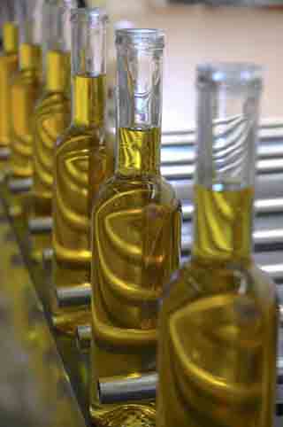 El aceite cultivado en el desierto almeriense posee una elevada cantidad de antioxidantes