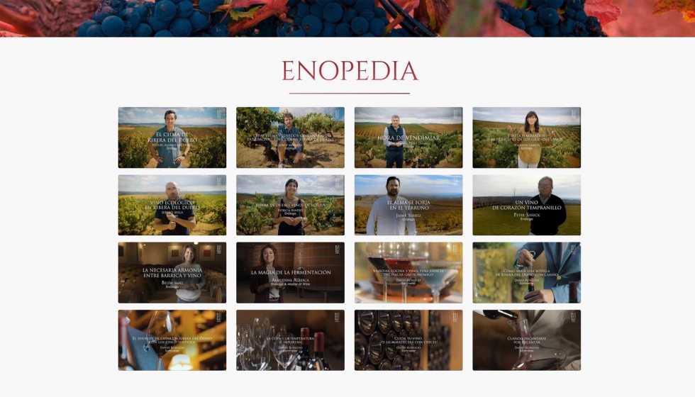 Enlogos y bodegueros explican esas especiales caractersticas de Ribera del Duero que definen la identidad de sus vinos...