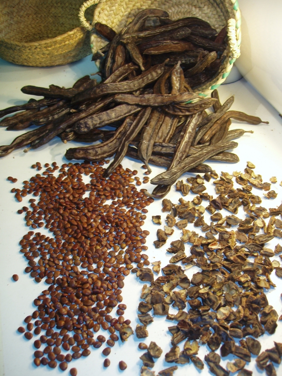 Figura 2. Principales productos obtenidos de la garrofa, la pulpa troceada y la semilla o garrofn
