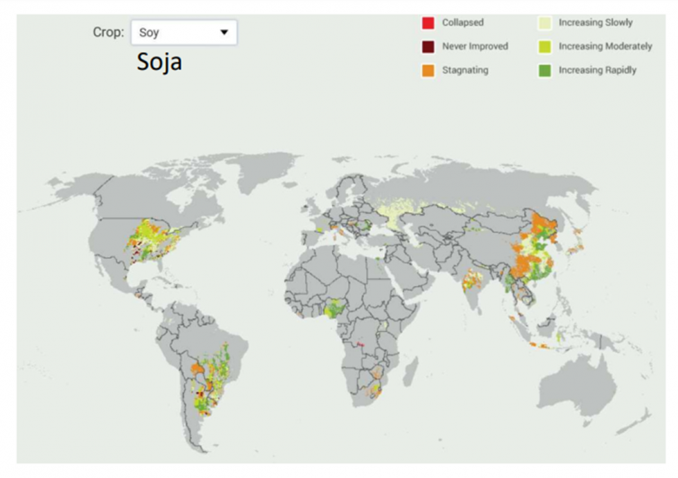 Imagen 1. Distribuci�n mundial del cultivo de soja