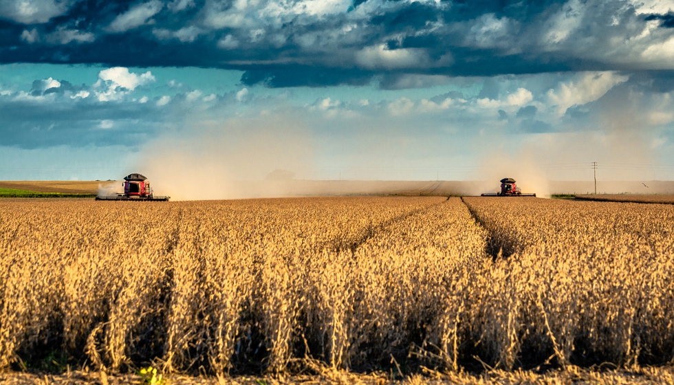 Campos de soja en Tapurah, Mato Grosso, Brasil