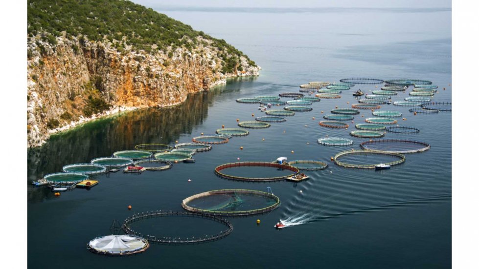 Un estudio indica que gracias a las inversiones en acuicultura y a una mejor gestin de la pesca hasta 2030...