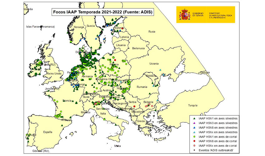 Localizacin en Europa de los focos de IAAP desde 01/08/2021 hasta 12/01/2022