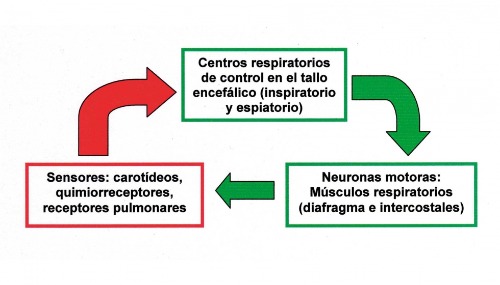 Figura 2...