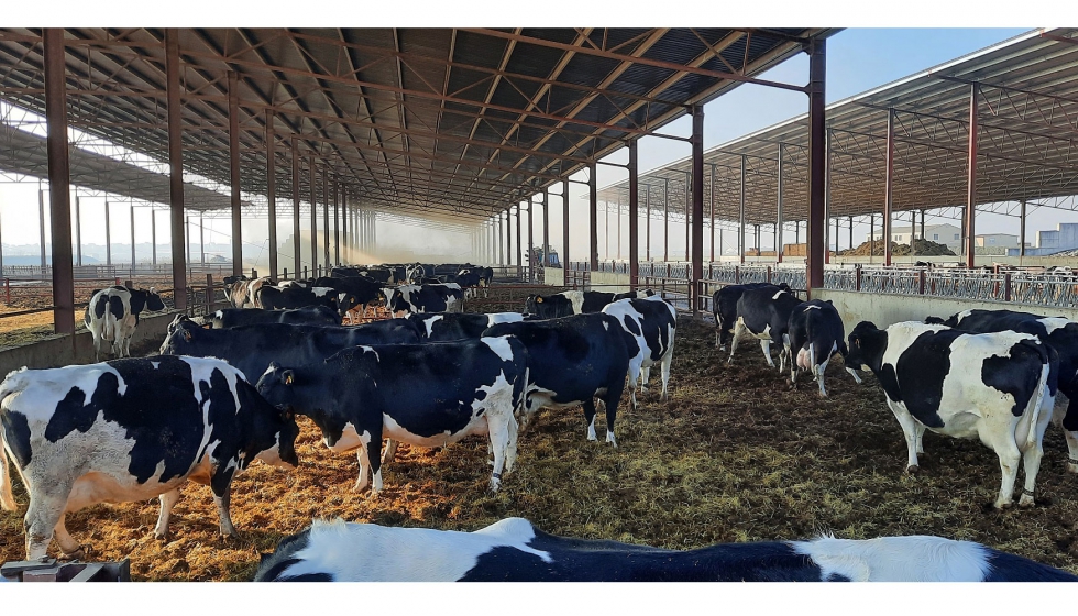 Las ms de dos millares de vacas de esta granja producen 24 millones de litros de leche al ao y su actividad genera en torno a 70...