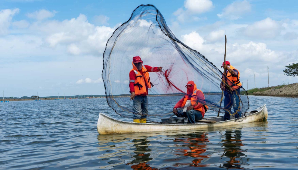 Tanto los pescadores, productores como mayoristas y minoristas pueden acceder a los datos e interactuar