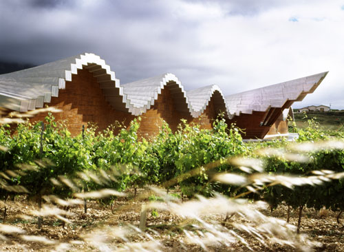 Detalle de un campo de viedos en las Bodegas Ysios, diseo de Santiago Calatrava, situadas en Laguadia, en plena Rioja Alavesa...