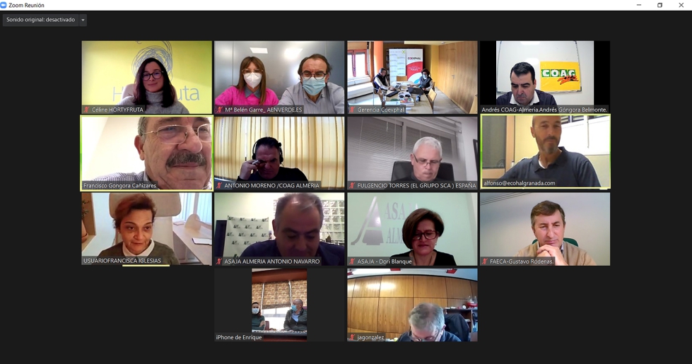 Reuni�n telem�tica de los representantes de Hortyfruta celebrada el pasado 11 de febrero