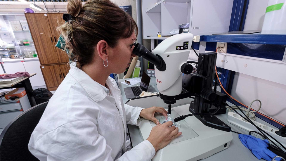 Alicia Herrera, doctora en Oceanografa y autora del estudio