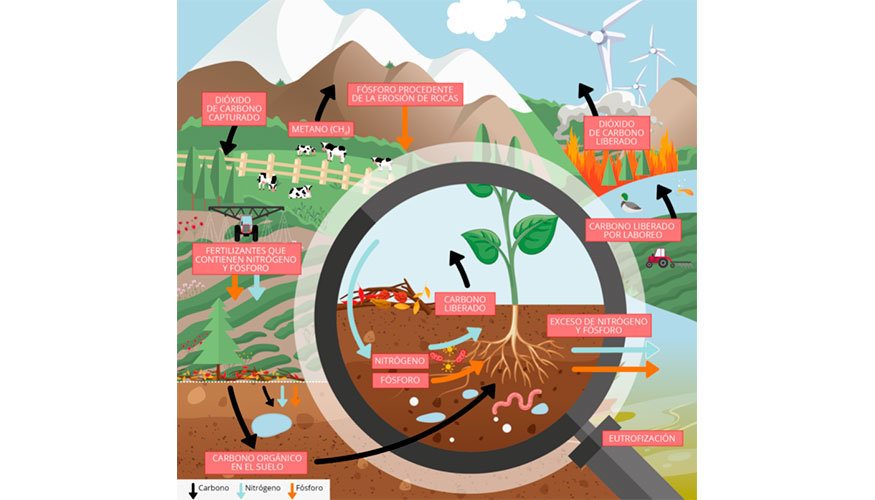 Figura: Ciclo de nutrientes de la naturaleza. Fuente: Publicacin Seales de la AEMA, 2019