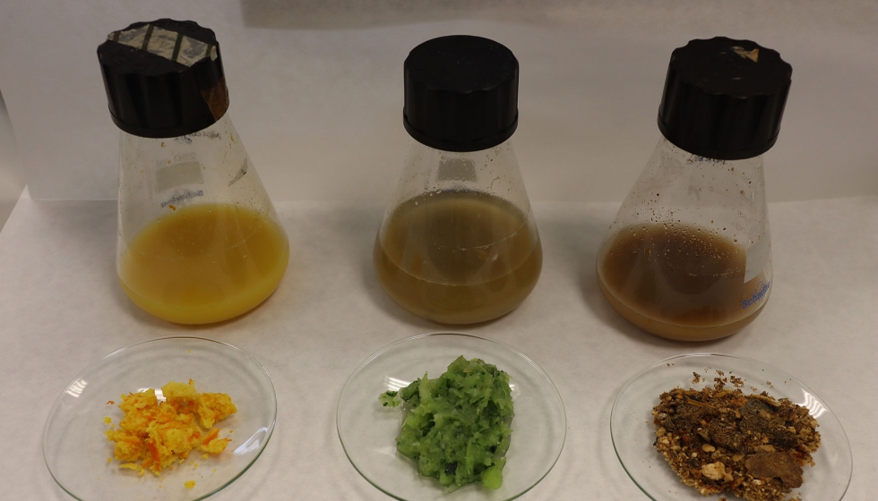Residuos de naranja, romanescu y Forsu - Biowaste2Pack