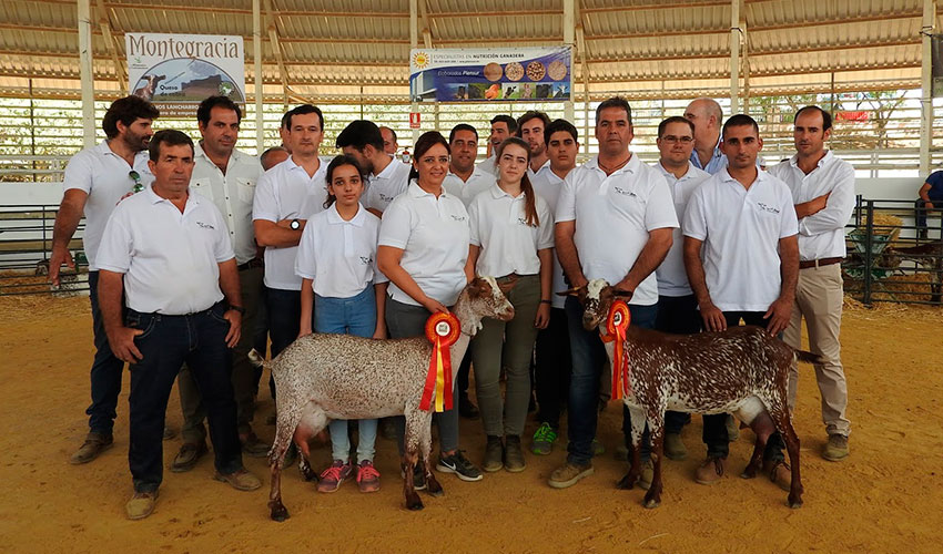 Concurso de la raza Florida