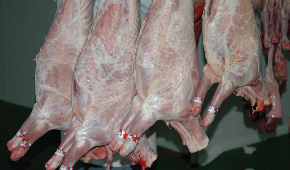 Canales de lechazo en una sala de despiece