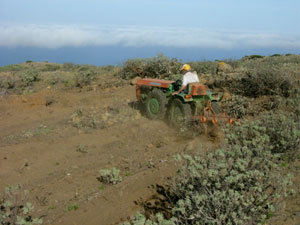 Trabajos de arado en la zona de La Dehesa, situada en la isla canaria El Hierro