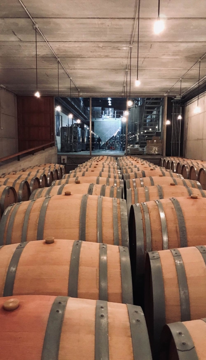 La sala de envejecimiento contiene barricas de 225 litros y botas de 500, para adaptar la crianza a cada tipo de vino...