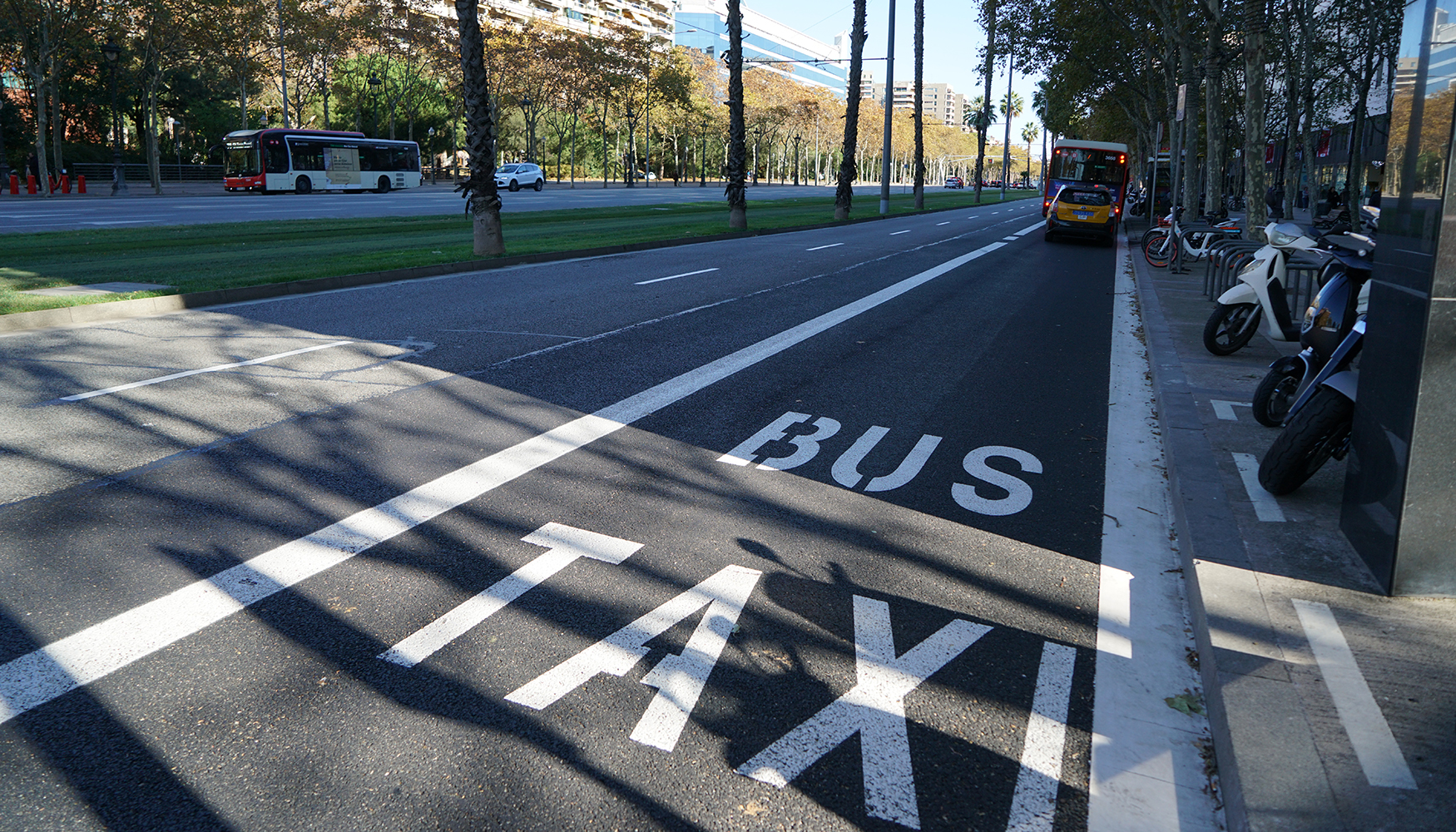 Pavimentado de una de las paradas de autobs en la Avinguda Diagonal de Barcelona