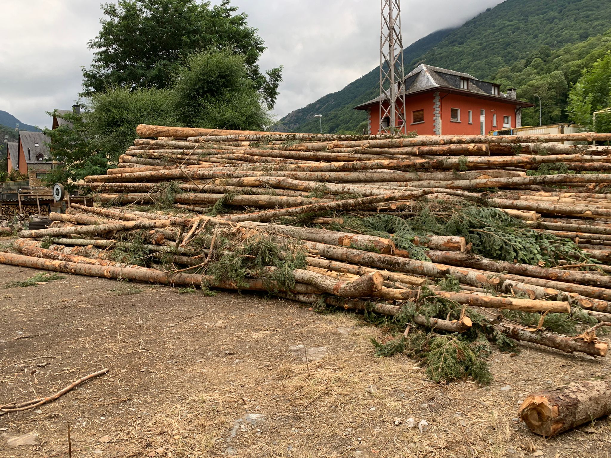 El Conselh Generau dAran tiene en marcha una nueva estrategia forestal orientada a impulsar una economa verde