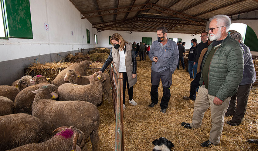 Visita de la diputada provincial Elisabeth Mart�n Declara a los animales en la finca El Cuartillo