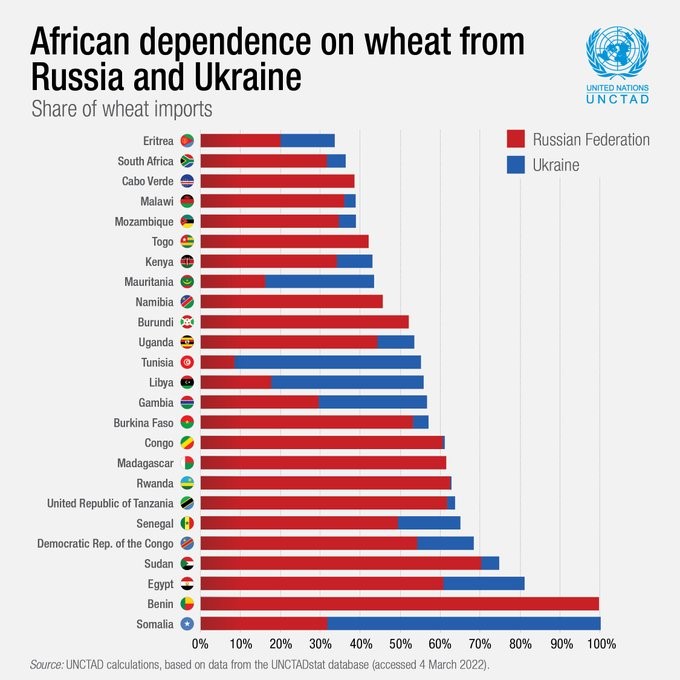 Gr�fico 1. Dependencia de los pa�ses africanos respecto del trigo producido en Rusia y Ucrania. Fuente: Naciones Unidas...